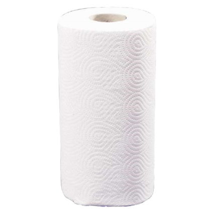 Carton de 28 rouleaux de papier essuie-tout double épaisseur Ecolabel